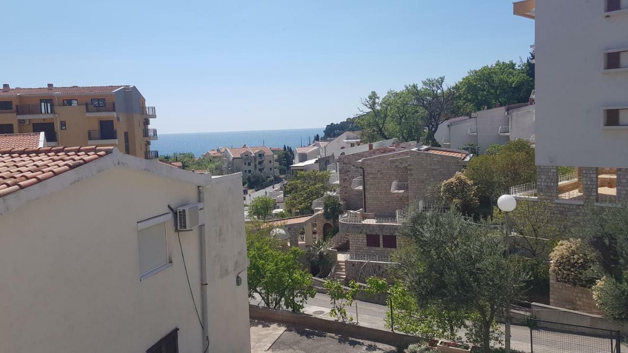 Apartmani Irena Petrovac Rum bild